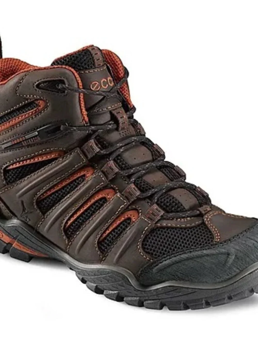 Ecco Xpedition Lite Hiking Shoe in Espresso/black